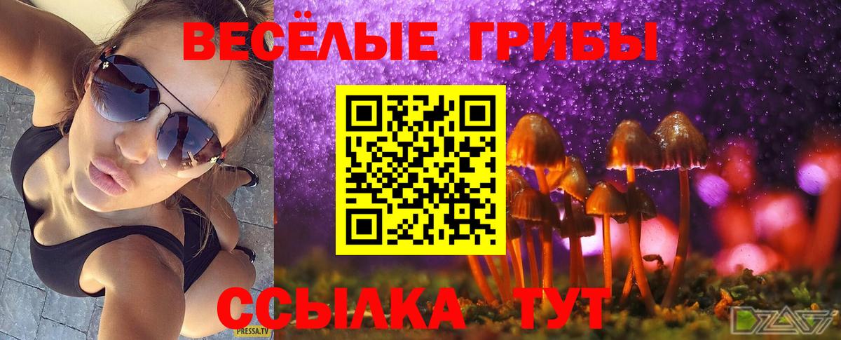 Псилоцибиновые грибы Cubensis  Вход с VPN  где купить наркоту  Мытищи 