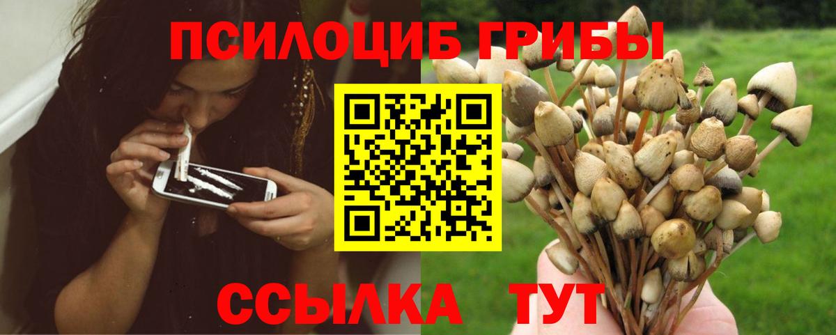 Псилоцибиновые грибы Magic Shrooms Мытищи